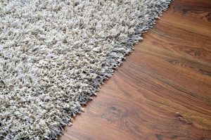 BLOG 5 Carpet