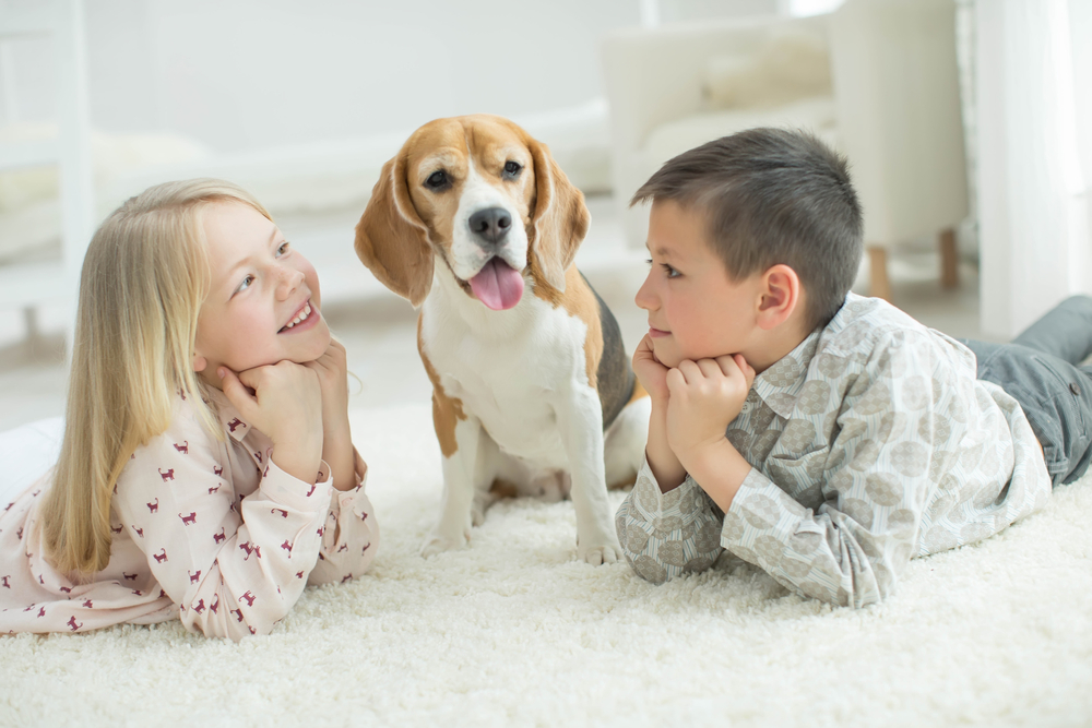 Child,With,Dog