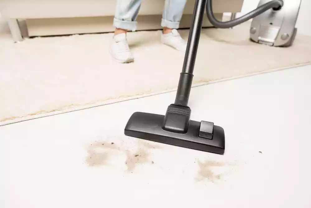 Common Carpet Stains