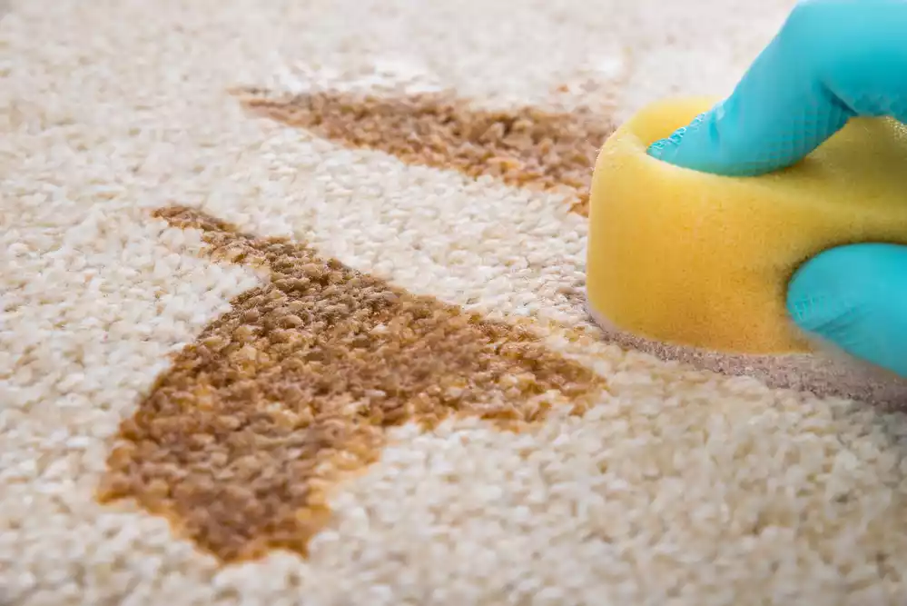Focus on Stain Resistance