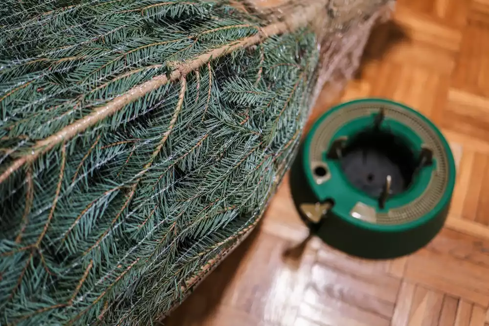 Installing tree
