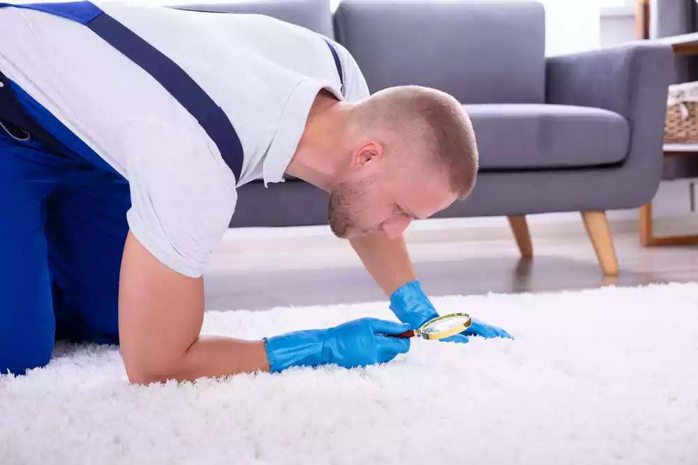 Regularly Checking for Fallen Needles