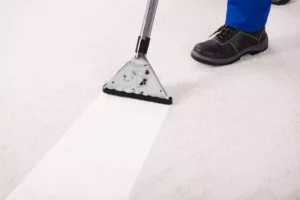 BLOG 31 new carpet odor