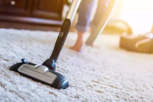 BLOG 30 carpet care